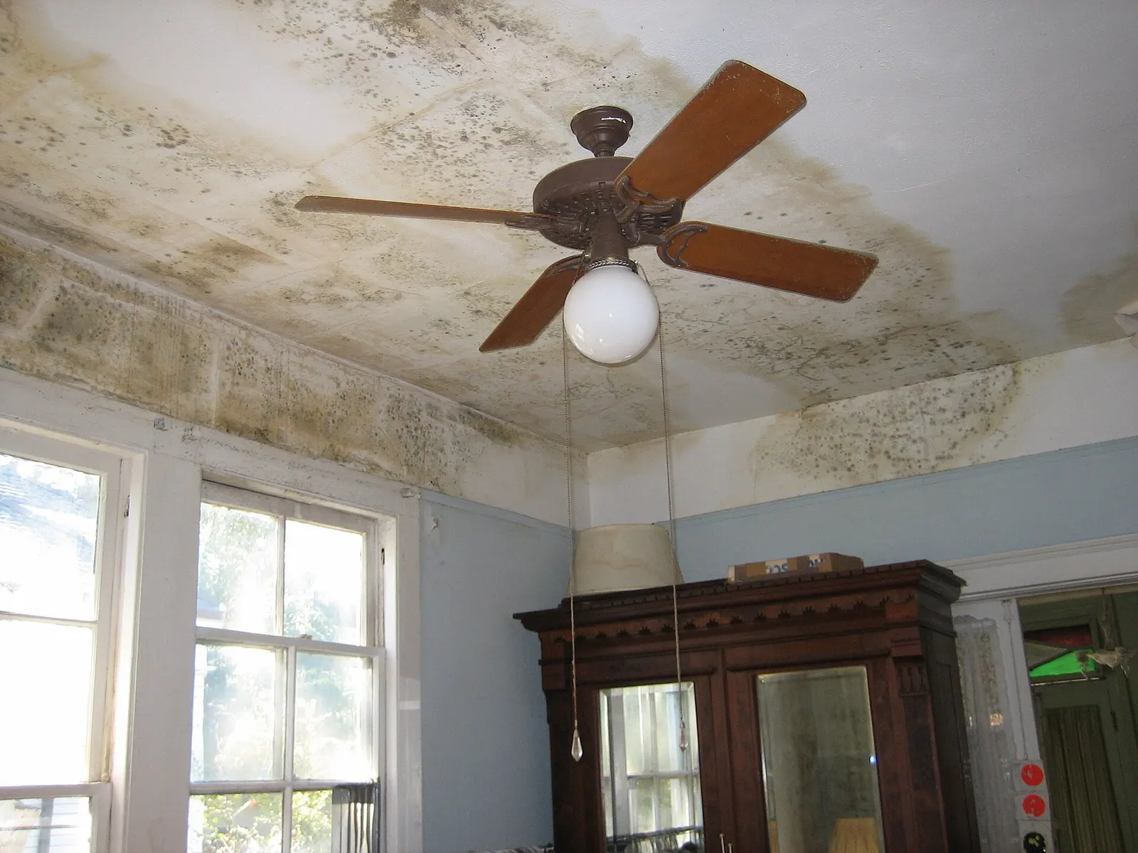 Mold across a ceiling around a ceiling fan. Shown on the homepage for Albany, NY.