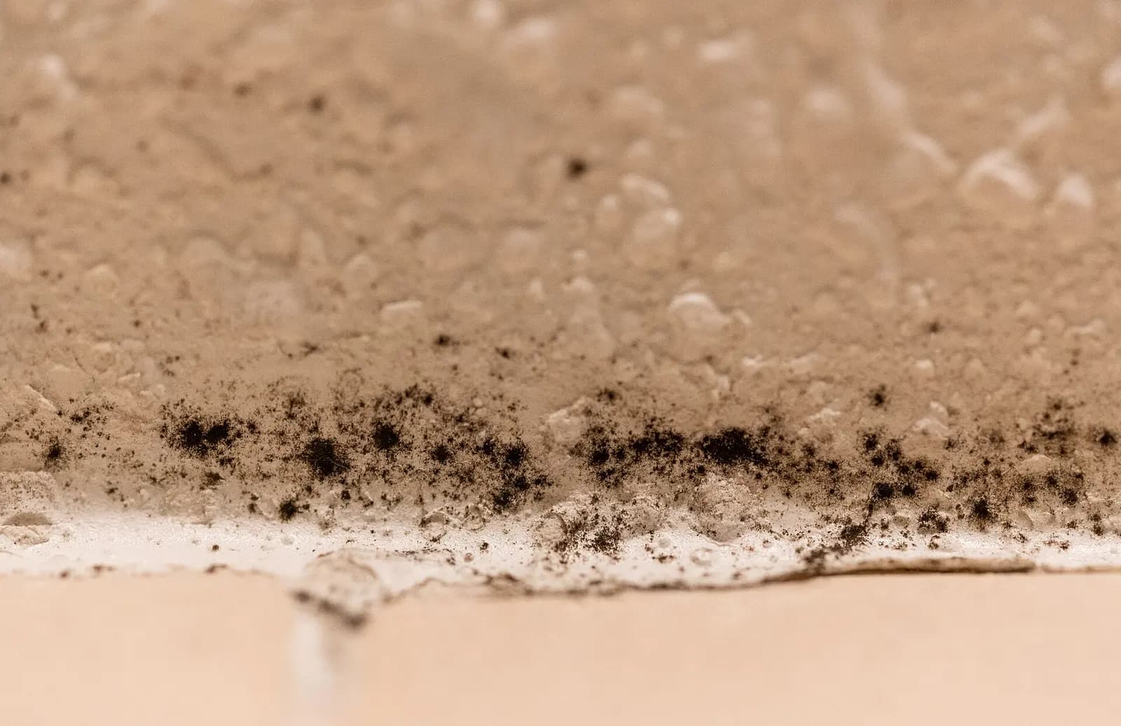 Black mold along a caulk and grout line. Shown on the Crawl space page for Albany, NY.